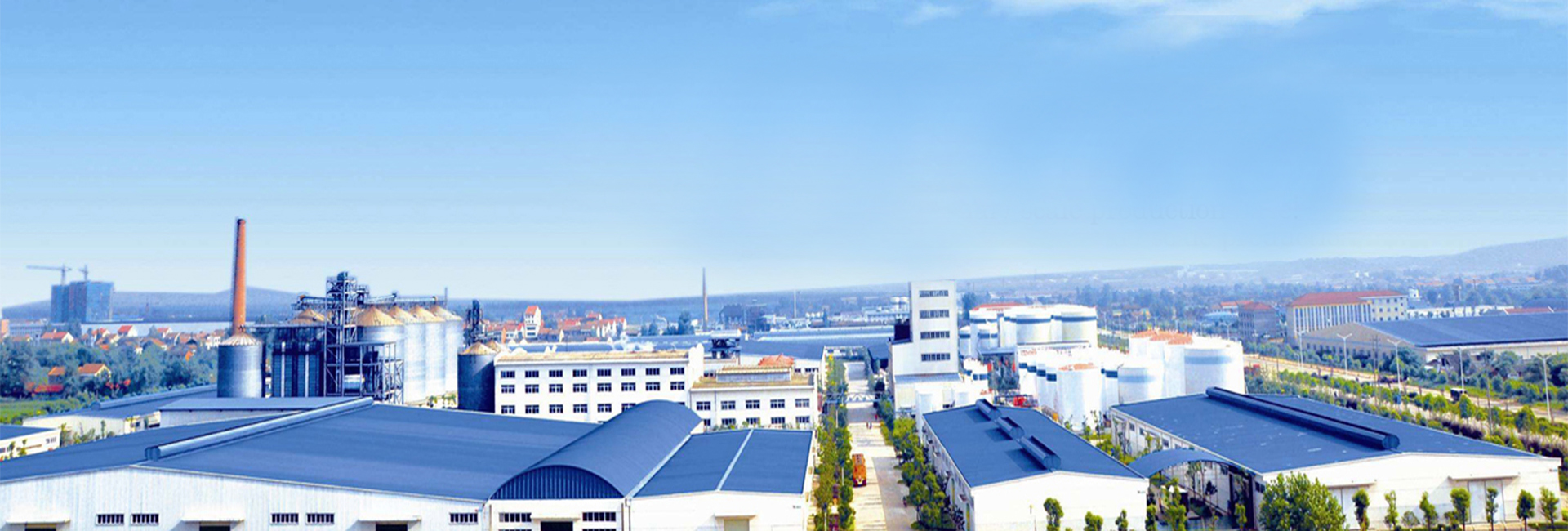 Banner 1