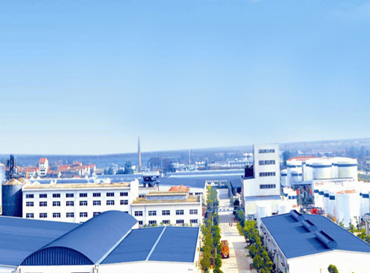 Mobile Banner 1